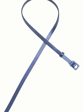 Cinturón Brillante - Imagen 1