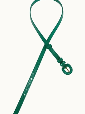 Cinturón de cocodrilo - Imagen 1