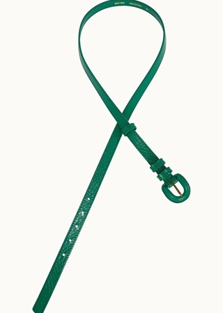 Cinturón de cocodrilo - Imagen 1