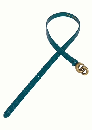 Cinturón de Cocodrilos - Imagen 1