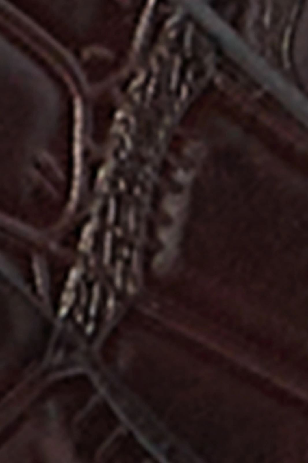 Cinturón de Cocodrilos - Imagen 3