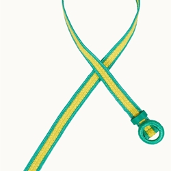 Cinturón de dos tonos - Imagen 1