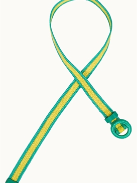 Cinturón de dos tonos - Imagen 1