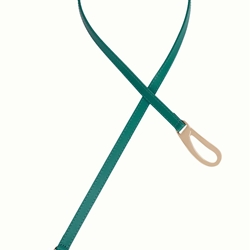 Cinturón Elegante - Imagen 1