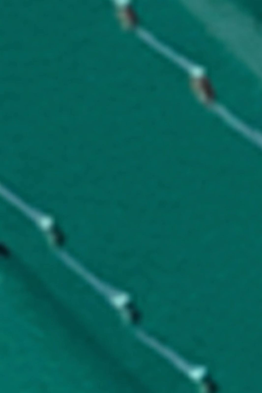 Cinturón Elegante - Imagen 3