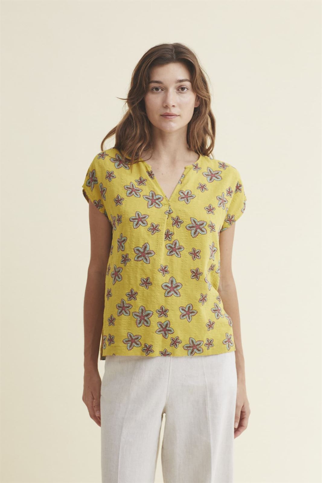 Top star flowers - Imagen 1