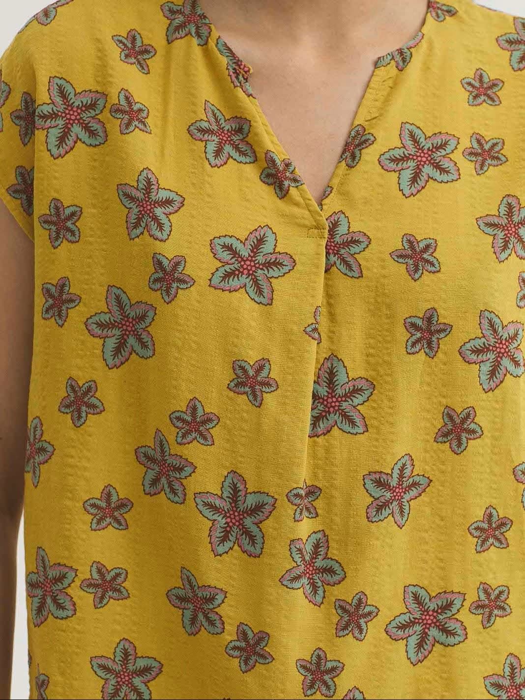 Top star flowers - Imagen 3